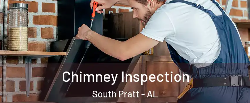 Chimney Inspection South Pratt - AL