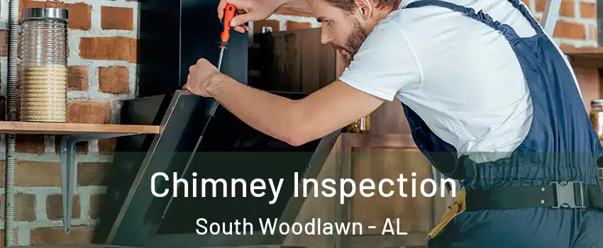 Chimney Inspection South Woodlawn - AL
