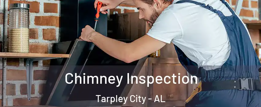Chimney Inspection Tarpley City - AL