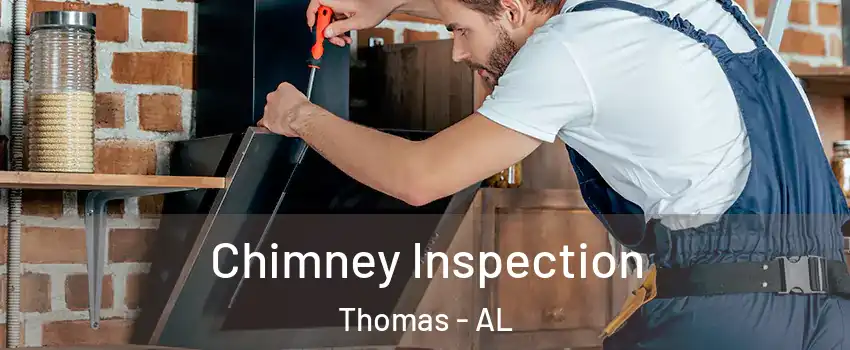 Chimney Inspection Thomas - AL