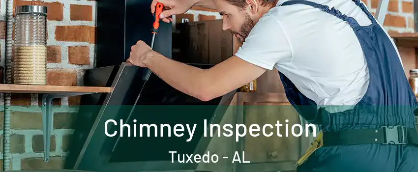 Chimney Inspection Tuxedo - AL