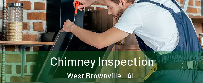 Chimney Inspection West Brownville - AL
