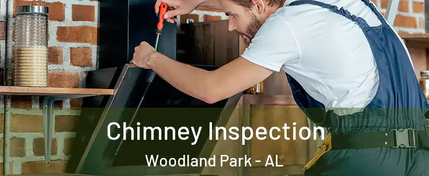 Chimney Inspection Woodland Park - AL
