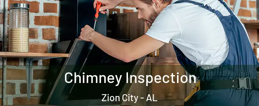 Chimney Inspection Zion City - AL