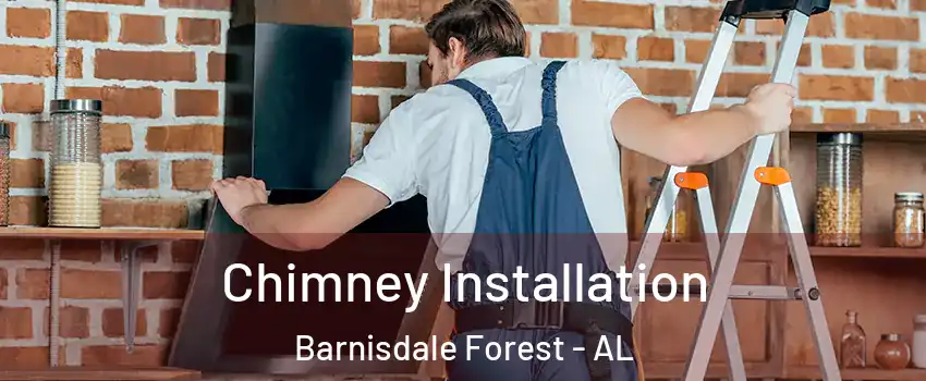 Chimney Installation Barnisdale Forest - AL