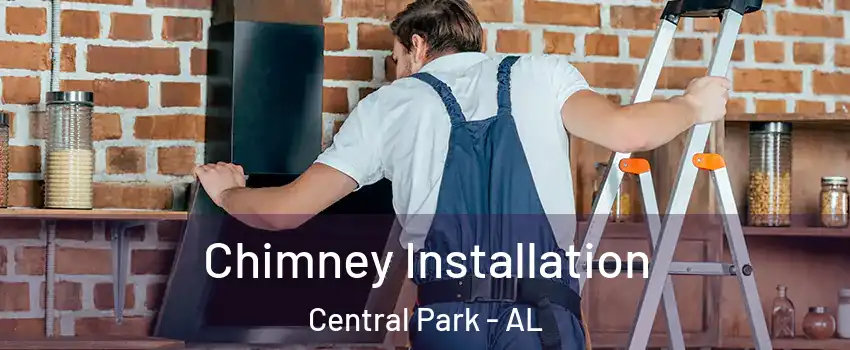 Chimney Installation Central Park - AL