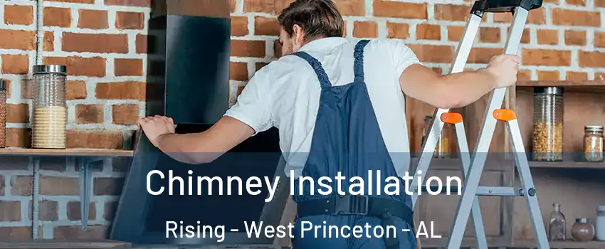 Chimney Installation Rising - West Princeton - AL