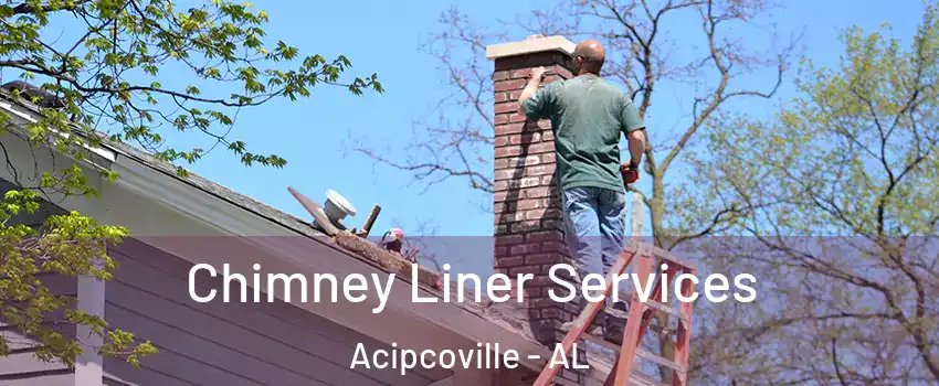Chimney Liner Services Acipcoville - AL