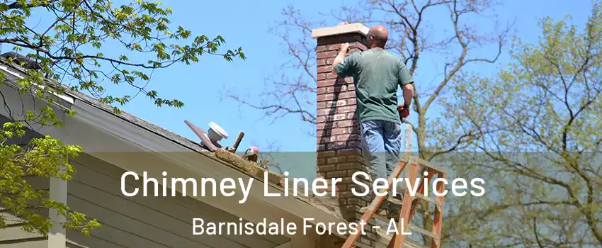 Chimney Liner Services Barnisdale Forest - AL