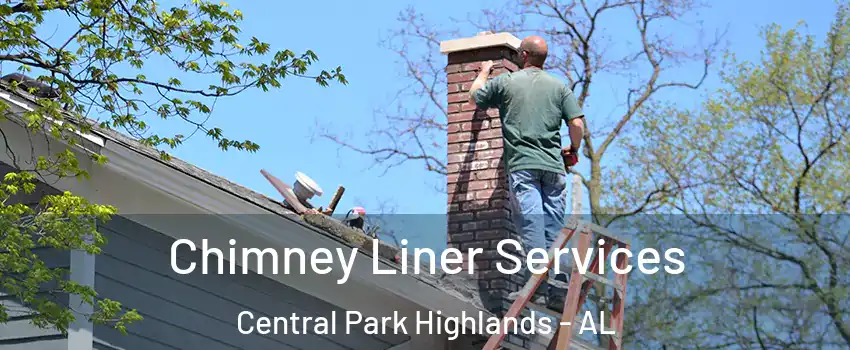 Chimney Liner Services Central Park Highlands - AL