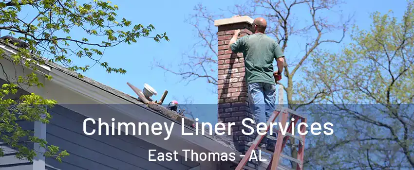 Chimney Liner Services East Thomas - AL