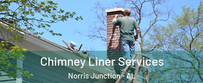 Chimney Liner Services Norris Junction - AL