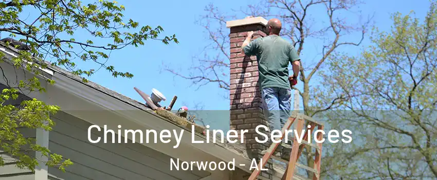 Chimney Liner Services Norwood - AL