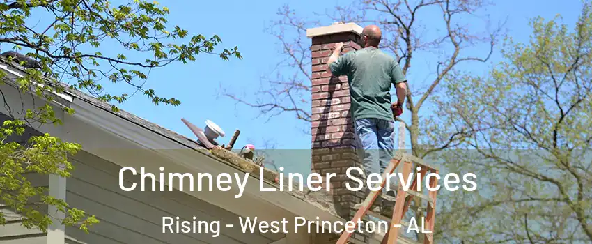 Chimney Liner Services Rising - West Princeton - AL
