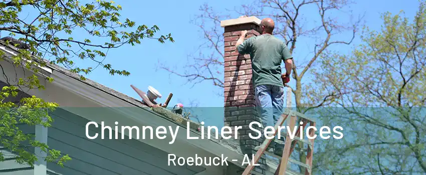 Chimney Liner Services Roebuck - AL