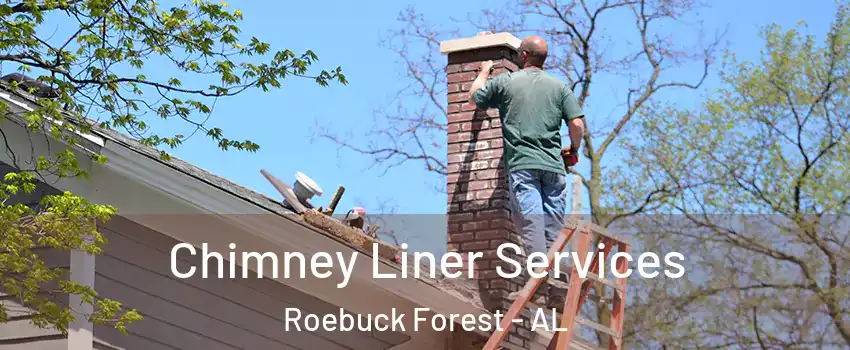 Chimney Liner Services Roebuck Forest - AL