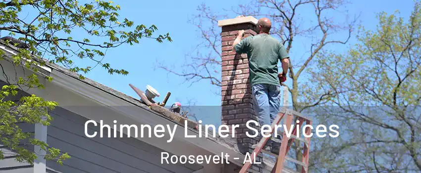 Chimney Liner Services Roosevelt - AL