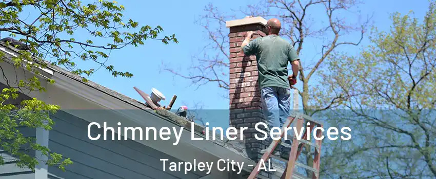 Chimney Liner Services Tarpley City - AL