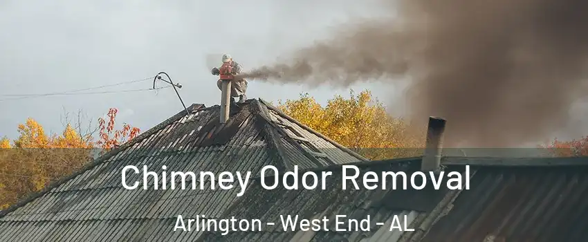 Chimney Odor Removal Arlington - West End - AL