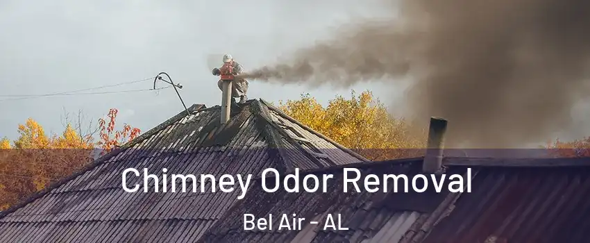 Chimney Odor Removal Bel Air - AL