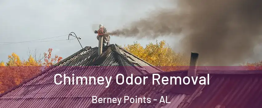 Chimney Odor Removal Berney Points - AL