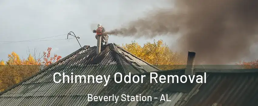 Chimney Odor Removal Beverly Station - AL