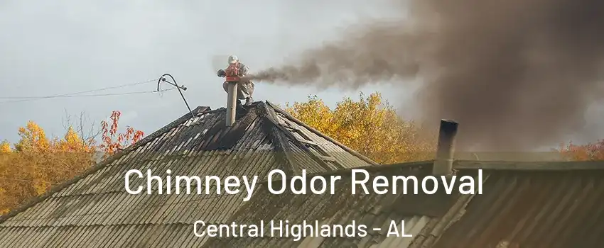 Chimney Odor Removal Central Highlands - AL