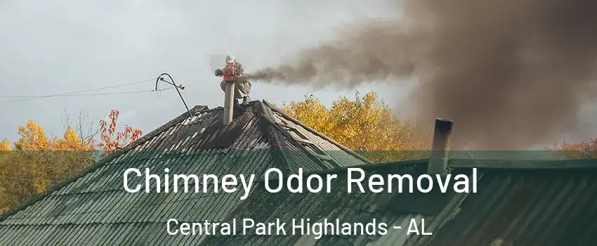 Chimney Odor Removal Central Park Highlands - AL