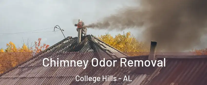 Chimney Odor Removal College Hills - AL