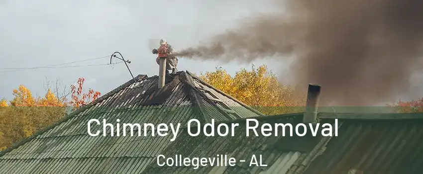 Chimney Odor Removal Collegeville - AL