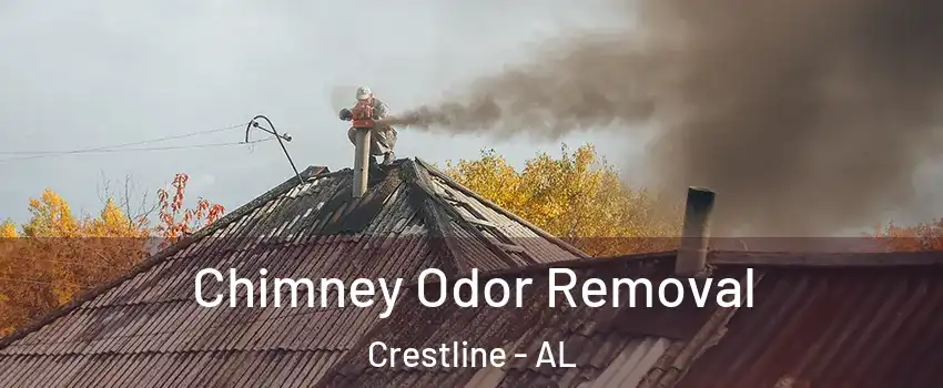 Chimney Odor Removal Crestline - AL