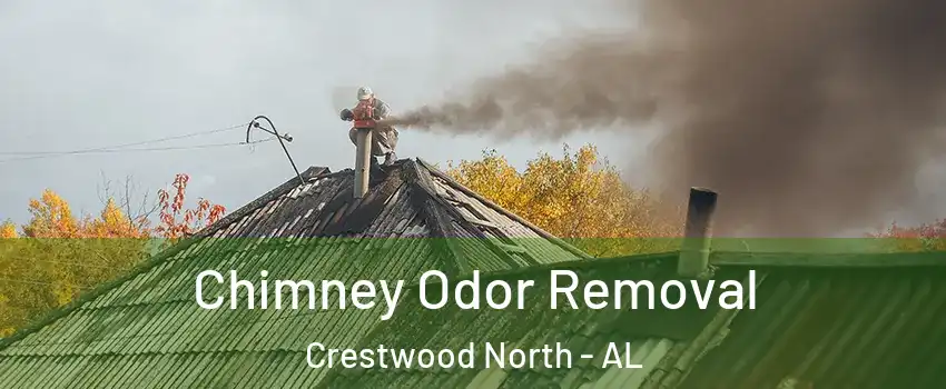 Chimney Odor Removal Crestwood North - AL