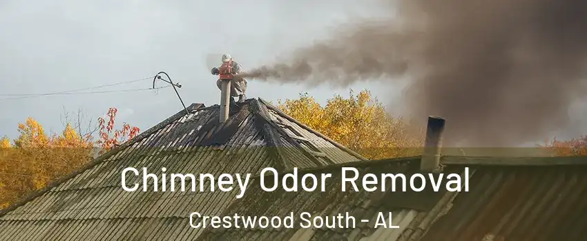 Chimney Odor Removal Crestwood South - AL