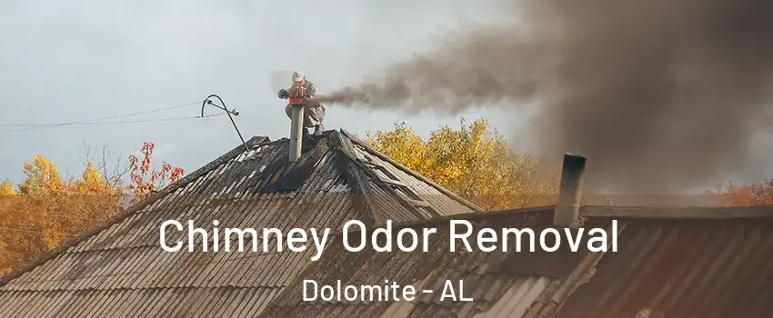 Chimney Odor Removal Dolomite - AL
