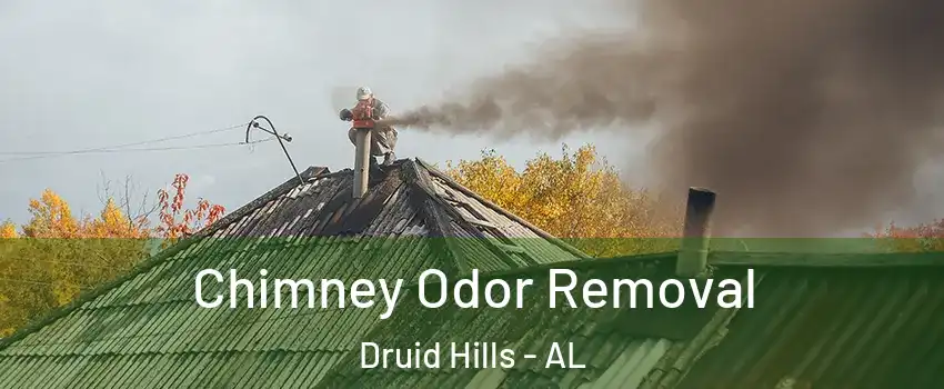 Chimney Odor Removal Druid Hills - AL