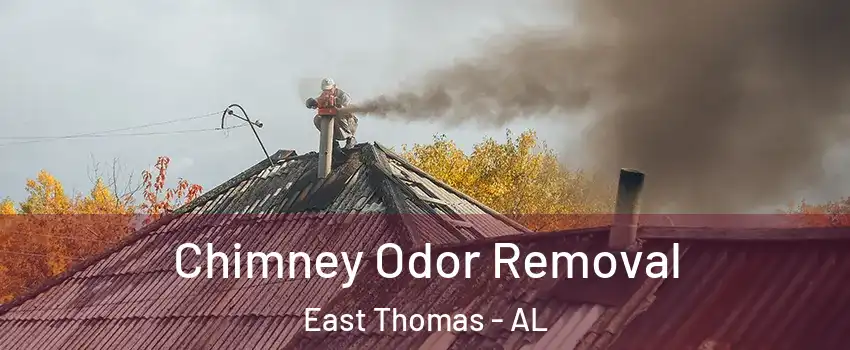 Chimney Odor Removal East Thomas - AL