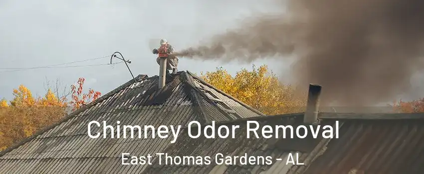 Chimney Odor Removal East Thomas Gardens - AL
