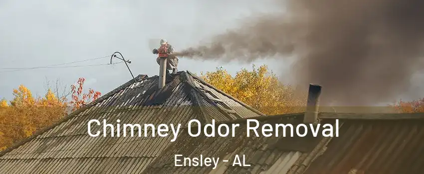 Chimney Odor Removal Ensley - AL