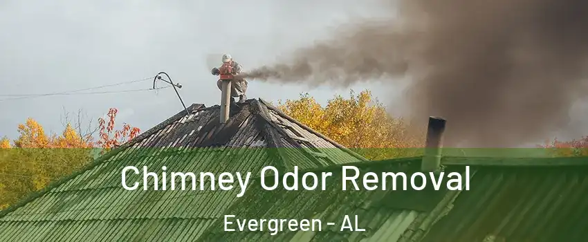 Chimney Odor Removal Evergreen - AL