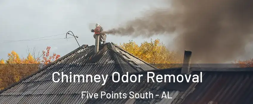 Chimney Odor Removal Five Points South - AL
