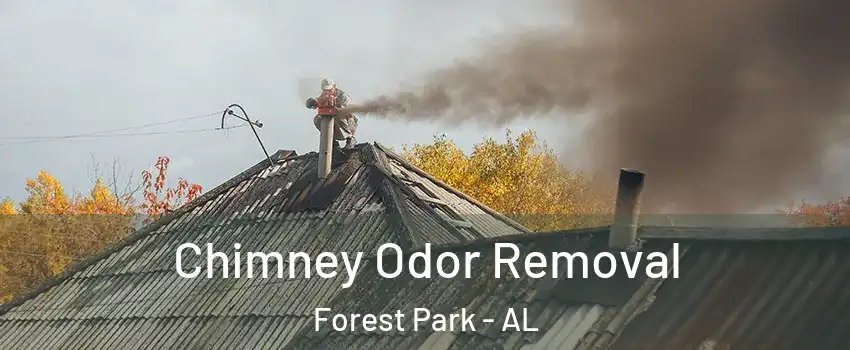Chimney Odor Removal Forest Park - AL