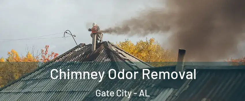 Chimney Odor Removal Gate City - AL
