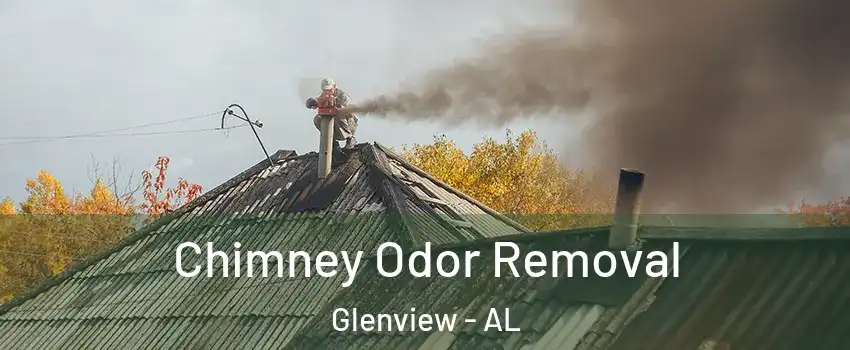 Chimney Odor Removal Glenview - AL