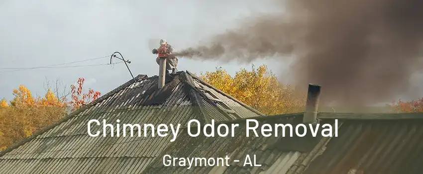 Chimney Odor Removal Graymont - AL