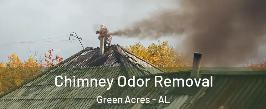 Chimney Odor Removal Green Acres - AL