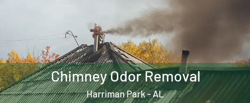 Chimney Odor Removal Harriman Park - AL