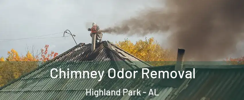 Chimney Odor Removal Highland Park - AL