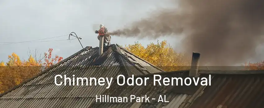 Chimney Odor Removal Hillman Park - AL