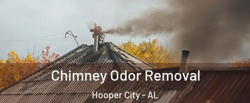 Chimney Odor Removal Hooper City - AL
