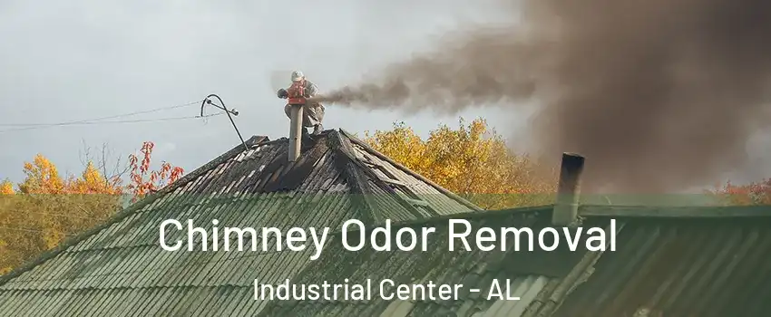 Chimney Odor Removal Industrial Center - AL